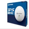 TaylorMade Golf 2024 Symbol TP5 Palm Tree GOLFBALLS ONE Dozen view 3