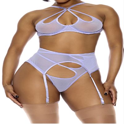 Forplay Women's Feeling Butterflies Mesh Halterneck Bra Lingerie Set, Lavender, L