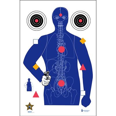 100 Pk, Sarasota Co (Fl) Sheriff's Office Modified B-21E Target W/Vital Anatomy Bull's-Eyes and Command Shooting Points Added - Size: 23" X 35" - Ink: Blue, Red, Gold, and Black
