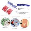 BESPORTBLE 6pcs Heavy Duty Basketball Net Replacement Basketball Hoops Nets for Indoor and Outdoor Use Easy to Install Design view 3