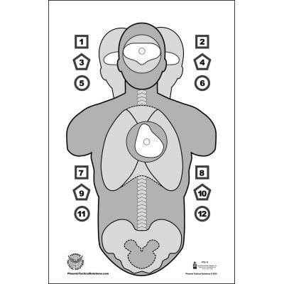 24 Pk, Phoenix Tactical Solutions Training Target Multi-Purpose Target Featuring Anatomy, Command Training & Headshot Training Options Black & Gray Size: 24" X 36"