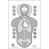 24 Pk, Phoenix Tactical Solutions Training Target Multi-Purpose Target Featuring Anatomy, Command Training & Headshot Training Options Black & Gray Size: 24" X 36" view 1