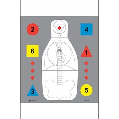24 Pk, Des Moines Regional Police Acad Target Featuring Standard Q Scoring Zone, Vital Anatomy Lines and Numbered Command Training Shapes Ink: Black, Red, Blue, Yellow Size: 24" X 30"