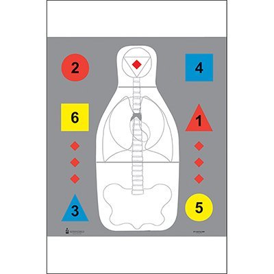 24 Pk, Des Moines Regional Police Acad Target Featuring Standard Q Scoring Zone, Vital Anatomy Lines and Numbered Command Training Shapes Ink: Black, Red, Blue, Yellow Size: 24" X 30"
