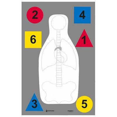 24 Pk, Multi-Purpose Anatomy and Command Training Target Size 23" X 35" Black, Red, Blue & Yellow