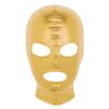 Huimingda Unisex Men Women Open Eyes Mouth Full Face Mask Hood Hat Latex Shiny Metallic Face Mask Cosplay Costume Gold One Size view 1