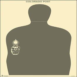 100 Pk, 2014 Colorado Peace Officer Standards and Training Post Target Gray Size: 23" X 35"