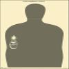 100 Pk, 2014 Colorado Peace Officer Standards and Training Post Target Gray Size: 23" X 35" view 1