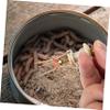 BESPORTBLE 15pcs Clip Compact Portable Bait Holder Made for Anglers Easy to Use Random Color view 4