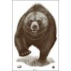48 Pk, Alaska State Parks Bear Target Brown Bear Target with Shaded Hit-Zone Ring Brown Size: 23" X 35 view 1