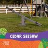 Jack & June Cedar Children's Wooden Seesaw - Smooth Cedar Finish with Two Safety Handles view 2
