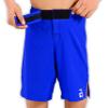2BOLD MMA Shorts Kids Grappling, BJJ, JIU-Jitsu, NO-GI Cross Training Muay Thai, Boxing, Kids MMA Shorts (US, Alpha, Large, Regular, Blue) view 2