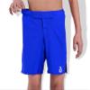 2BOLD MMA Shorts Kids Grappling, BJJ, JIU-Jitsu, NO-GI Cross Training Muay Thai, Boxing, Kids MMA Shorts (US, Alpha, Large, Regular, Blue) view 3