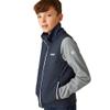 Regatta Childrens/Kids Acidity II Body Warmer (3-4 Years) (Navy) view 1
