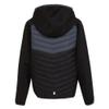 Regatta Childrens/Kids Kielder VIII Hybrid Jacket (11-12 Years) (Tahoe Blue/Moroccan Blue/Bleached Aqua) view 3