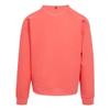 Regatta Mens Nithsdale Crew Neck Sweatshirt (XXL) (Red Sky) view 4
