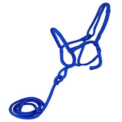 Nylon Rope Shipping Halter w/Lead