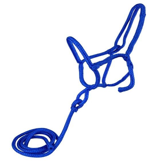 Nylon Rope Shipping Halter w/Lead