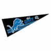 Detroit Lions All Grit Pennant Banner Flag view 1