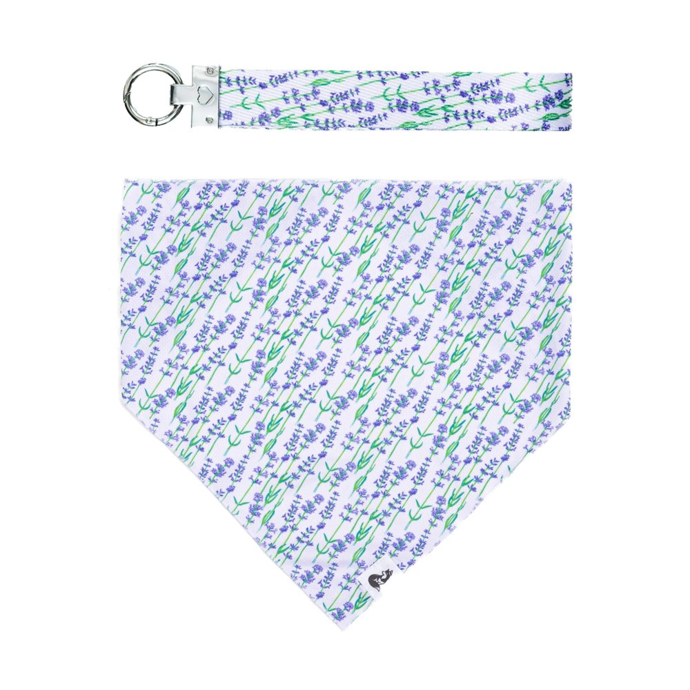 Thoughtful Gift Idea for Dog Owners - Dog Bandana and Matching Wristlet Keychain Set - Colorful, Premium Bandana and Engraved Wristlet Keychain - Dog Mom Set (M/L, Lavender)