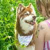 Thoughtful Gift Idea for Dog Owners - Dog Bandana and Matching Wristlet Keychain Set - Colorful, Premium Bandana and Engraved Wristlet Keychain - Dog Mom Set (M/L, Lavender) view 3