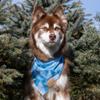 Thoughtful Gift Idea for Dog Owners - Dog Bandana and Matching Wristlet Keychain Set - Colorful, Premium Bandana and Engraved Wristlet Keychain - Dog Mom Set (S, Siberian Spruce) view 2