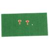 BESPORTBLE 1set Portable Golf Hitting Mat Realistic Turf for Practice Includes Mat Oxford Tees for Daily Training and Skill Development