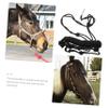 LIOOBO Halter for Horse Lightweight and Horse Head Collar Easy to Use Portable Accessory for Miniature for Training and Riding view 2
