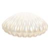 Holibanna Shell Jewelry Box - 3.35 Inch Seashell Jewelry Holder with Hinged Lid for Necklaces Bracelets Decorative Trinket Storage for Home Dorm view 1