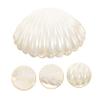 Holibanna Shell Jewelry Box - 3.35 Inch Seashell Jewelry Holder with Hinged Lid for Necklaces Bracelets Decorative Trinket Storage for Home Dorm view 3