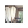 Stupell Industries Paddle Your Own Canoe Wall Plaque Art by Kim Allen view 1