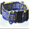 Pets First NHL Collar for Dogs & Cats. Adjustable, Cute, & Stylish! The Ultimate Hockey Fan Collar! view 1