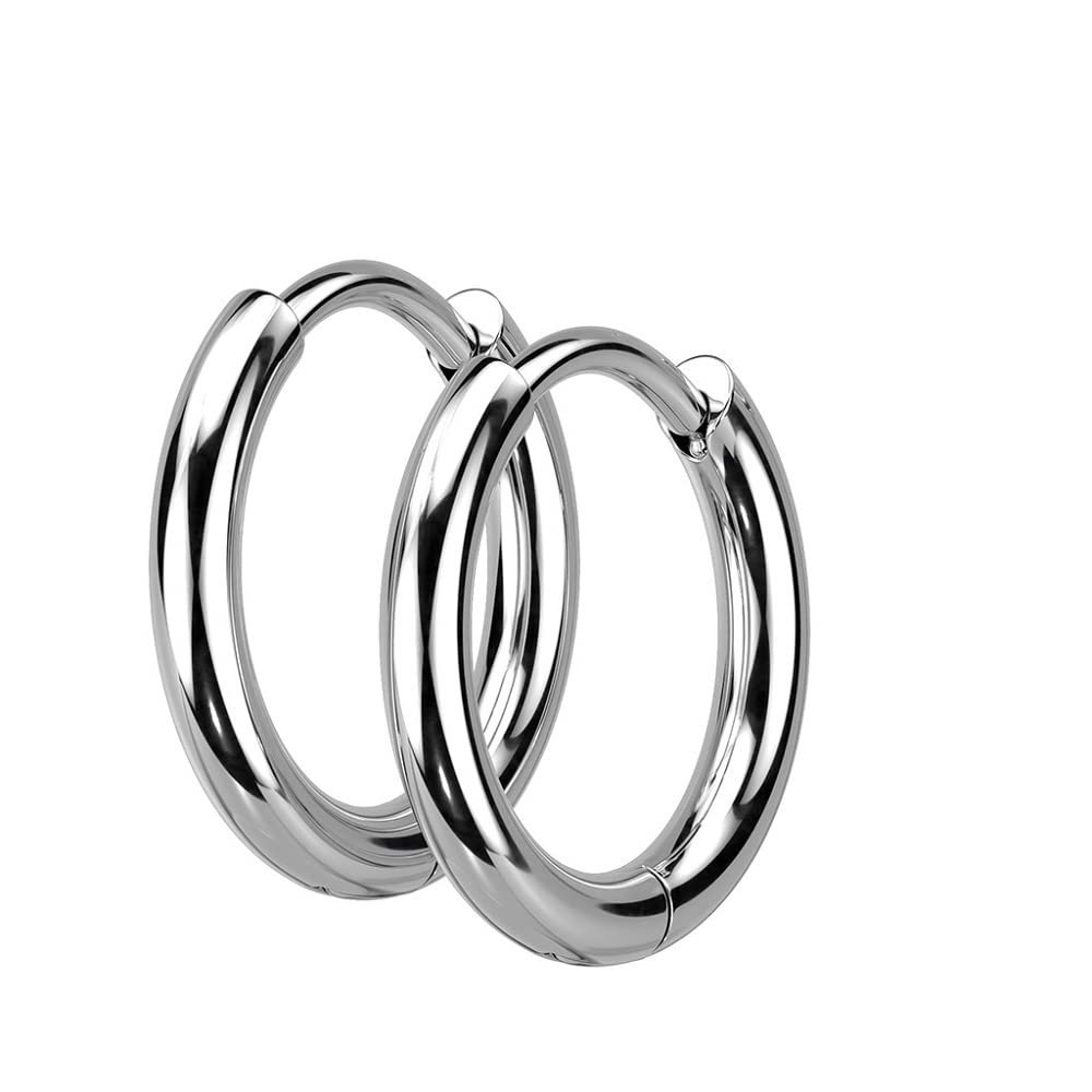 18GA 316L Stainless Steel 2mm Thick Hinged Round Hoop Earrings, Sold as a Pair (10mm Diameter, Silver Tone)