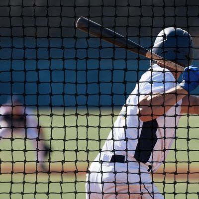 Baseball Backstop Nets for Practice, Black (10x40 ft) - Sport Net for Baseball Softball Lacrosse Cricket Netting Material - Sports Netting, Impact Equipment - Barrier Net for Pitching & Hitting