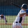 Baseball Backstop Nets for Practice, Black (10x40 ft) - Sport Net for Baseball Softball Lacrosse Cricket Netting Material - Sports Netting, Impact Equipment - Barrier Net for Pitching & Hitting