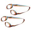 BIUDECO Ski Boots Carrying Leash Roller Skate Accessories Ski Straps Easy to Use view 1