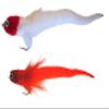 river canyon Dragon Tails Fly Tying Material - 10pcs/Pack- Add tons of Action to Your Fly or Bait - 3 1/2" (Orange and Chartreuse) view 3
