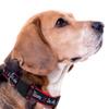 New & Improved Pets First NBA PET Collar Los Angeles Clippers Dog Collar, Size Small Basketball Team Collar for Dogs & Cats. A Shiny & Colorful Dog & Cat Collar Licensed by The NBA view 4