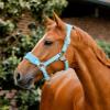 Horseware Signature Grooming Halter view 2