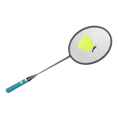 Gogogmee 8pcs Led Nylon Badminton Shuttlecocks Glowing Night Shuttlecocks for School Sports and Sturdy for Amateurs and Family Play Random Light Colors