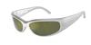 ARNETTE Catfish AN4302 28676R 62MM Metallic Silver/Dark Green Mirror Petrol Sunglasses for Men +Bundle with Accessory Eyewear Kit view 1
