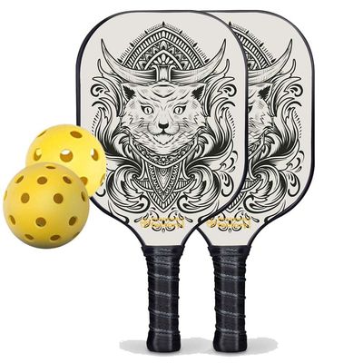 212 Main Pickleball Paddle Set - Egyptian Cat Level Up Pickleball Rackets Pickleball Net Set Glassfiber Graphite, Medium