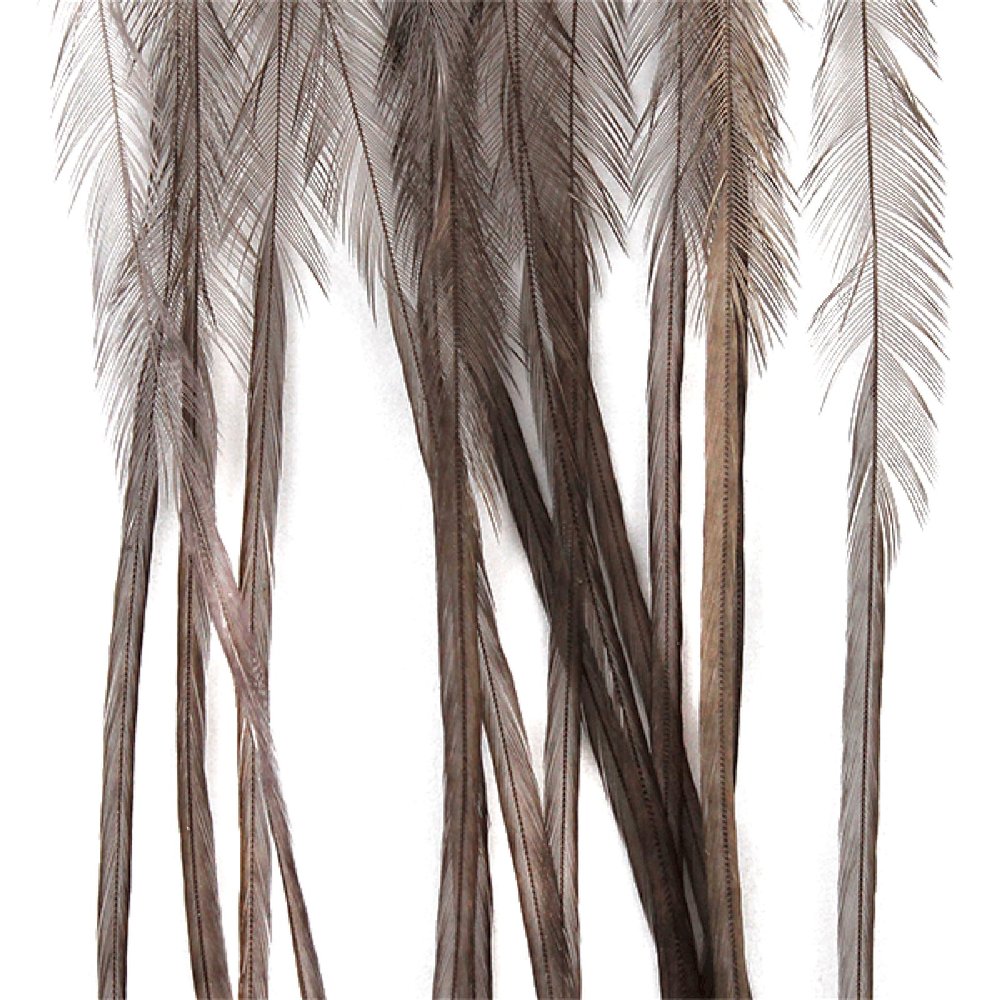 Montana Fly Company Whiting 100 Pack - Medium Dun Size 16
