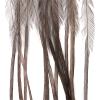 Montana Fly Company Whiting 100 Pack - Medium Dun Size 16 view 1