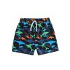 Boys 4t Bathing Suit Shorts Toddler Kids Infant Baby Boys Summer Print Shorts Beach Swimwear (Black, 6-12 Months) view 1