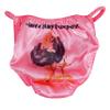 Ania's Women's Sissy SATIN Humiliation Pin-ups Panties Shiny Wetlook Naughty BACK Print Pink or White Panties! (Pink Sissy Pantyboy, 6) view 1