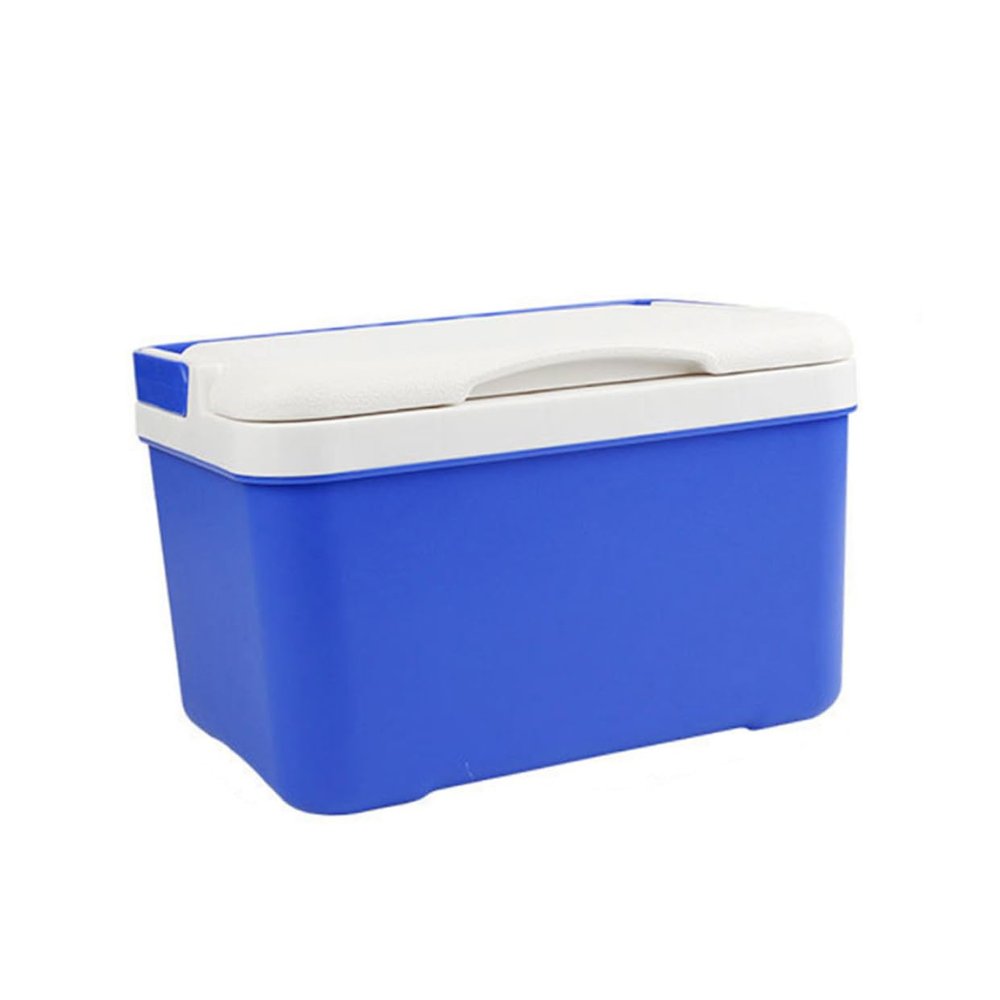 Vehicle Mounted Incubator 6L Hdpe Heating and Cooling Box