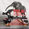 XDDIAS Workout Bench, Adjustable Weight Bench with Leg Extension and Leg Curl, Extended Headrest, 900LBS Preacher Curl Bench Incline Decline Flat Workout Bench for Home Gym Full Body Exercise view 3