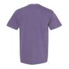 Comfort Colors Adult Short Sleeve Tee, Style 1717 view 3