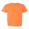 Comfort Colors Adult Short Sleeve Tee, Style 1717 view 1